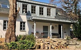 Ferienwohnung Weingut Villa Huesgen am Mönchhof